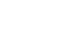 Viking Hotel Logo White